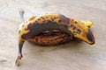 Old, brown, rotting bananas Royalty Free Stock Photo