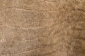 Old brown suede background texture Royalty Free Stock Photo