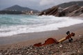 An old brown violin instrument lying on the beach in the sand