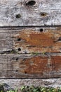 Old brown weathered distressed wood oak timber planks background