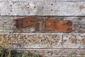 Old brown weathered distressed wood oak timber boards background