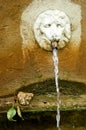 Lion shaped fountain with pouring water