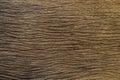Old brown wood background texture.