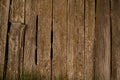 Surface of old brown weathered wood texture, barn board