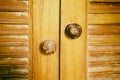 Old brown wooden door textute background