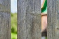 Old brown wooden wall, detailed background photo texture. Wood plank fence close up Royalty Free Stock Photo