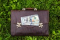 The old brownface of brown, worn leather lies on the grass. On the portfolio of a pack of hundred-dollar bills. Place for your Royalty Free Stock Photo