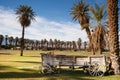 Old Buckboard Covered Wagon Palm Tree Oasis Death Valley Royalty Free Stock Photo