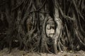 Old Buddha head in tree root at Ayutthaya Thailand Royalty Free Stock Photo