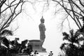 The old buddha statue.