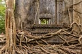 Old Buddhist temple with tree roots Royalty Free Stock Photo