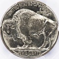 Old Buffalo Nickle.