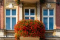 Old building balcony windows with red flowers Royalty Free Stock Photo