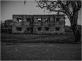 old building black and white with tree frame