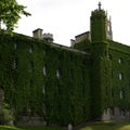 Old building in England grown up with green leaves