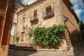 Old building facade with green creeper, on corner of narrow alley at Caceres Royalty Free Stock Photo