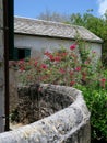 Old Building Garden Wall in Tropical Setting Royalty Free Stock Photo