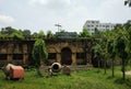 Old building and palm tree Royalty Free Stock Photo