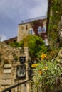 Old buildings with flowers in the streets of Eze Village, medieval city in South of France along the Mediterranean Sea Royalty Free Stock Photo