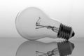 Old bulb filament backlit on white background Royalty Free Stock Photo