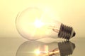 Old bulb filament backlit on white background Royalty Free Stock Photo