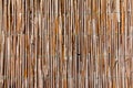 Old bulrush fence, horizontal bright abstract surface texture background