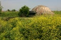 Old bunker in albania Royalty Free Stock Photo