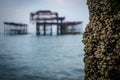 Old burnt out pier in Brighton, England Royalty Free Stock Photo