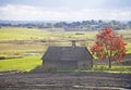 Old cabin Royalty Free Stock Photo