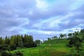 Old cabin on farm hill with mostly cloudy