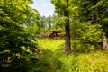 Old cabin hidden in the woods at spring. Royalty Free Stock Photo