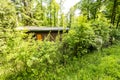 Old cabin hidden in the woods at spring. Royalty Free Stock Photo