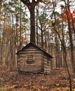 Old Cabin in William B. Umstead State Park