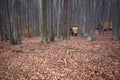 Old cabins in woods.