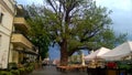 Old cafe view, Uzhhorod, Transcarpathia