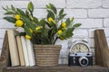 An old camera with books, clocks and artificial lemon tree on a shelf with white bricks background.