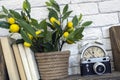 An old camera with books, clocks and artificial lemon tree on a shelf with white bricks background.