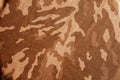 Old camouflage cloth with blur effect in orange tone. Royalty Free Stock Photo