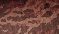 Old camouflage cloth pattern. Royalty Free Stock Photo