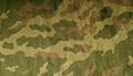 Old camouflage cloth pattern. Royalty Free Stock Photo