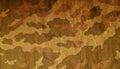 Old camouflage cloth pattern. Royalty Free Stock Photo