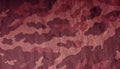Old camouflage cloth pattern. Royalty Free Stock Photo