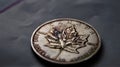 canada maple leaf silver coin Royalty Free Stock Photo