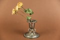 Old candle holder and yellow roses against a brown background. Melchior alloy candle holder. A branch of dried yellow flowers Royalty Free Stock Photo