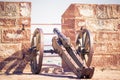 Old cannon at Mehrangarh Fort in Jodhpur, India Royalty Free Stock Photo