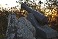 Old cannon in the park during sunset