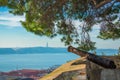 Old cannon under a tree on the wall of the castle of St. George in Lisbon, Portugal. View of the River Tagus / rio Tejo Royalty Free Stock Photo