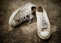 Old canvas shoe