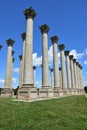 Old Capitol Columns at the Botanical Garden in DC Royalty Free Stock Photo