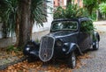 Old car with bush inside in Colonia, Uruguay Royalty Free Stock Photo
